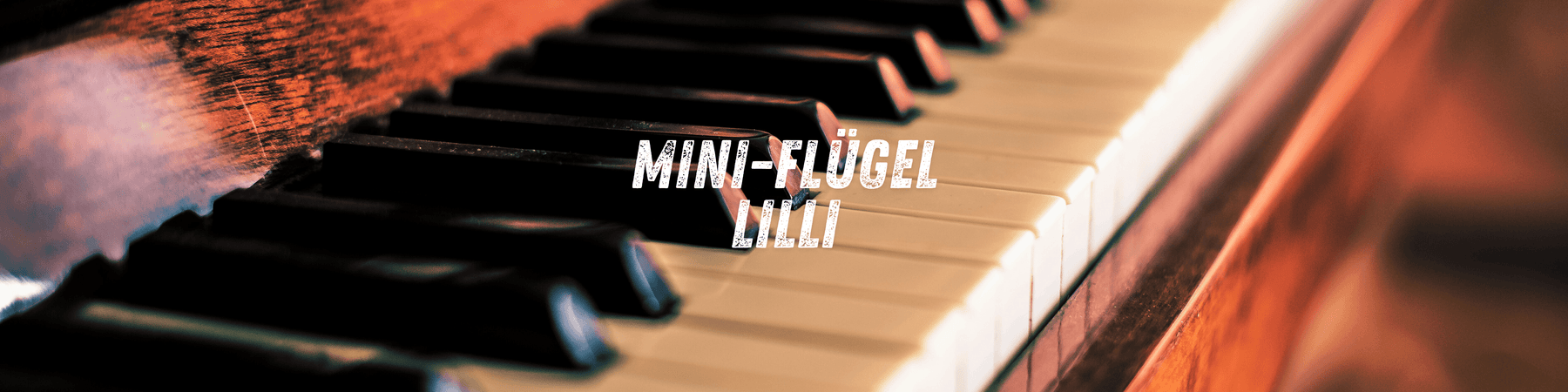 Mini-Flügel "Lilli" sucht ein Zuhause -