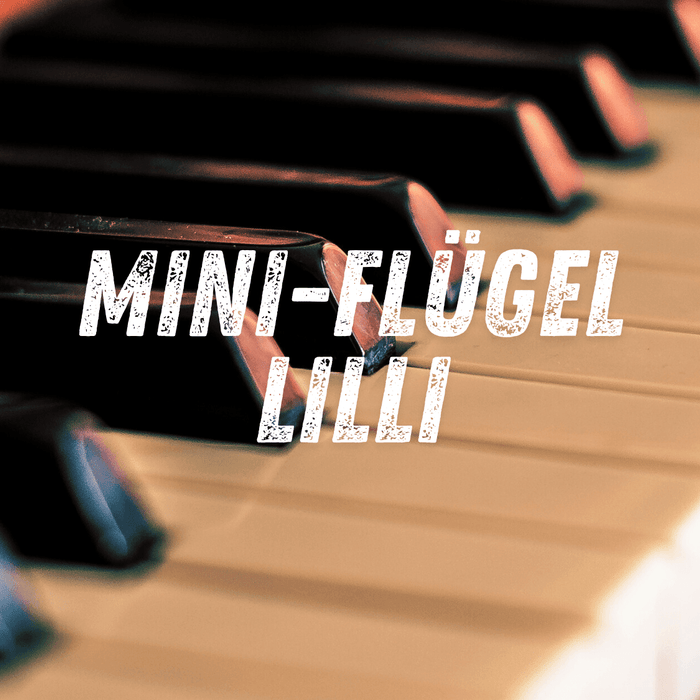 Mini-Flügel "Lilli" sucht ein Zuhause -