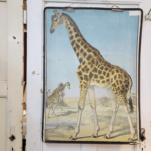 Schulwandtafel Giraffe-Wanddeko-Vintage Kontor-Vintage Kontor