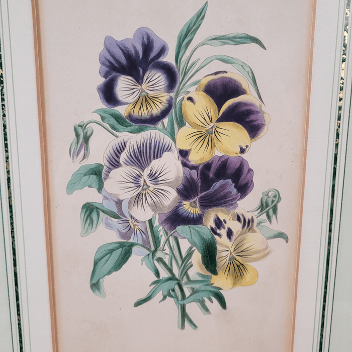 Lithographie, Blumenbild gerahmt-Vintage Kontor-Vintage Kontor