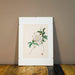 Aquarell Passionsblume-Vintage Kontor-Vintage Kontor