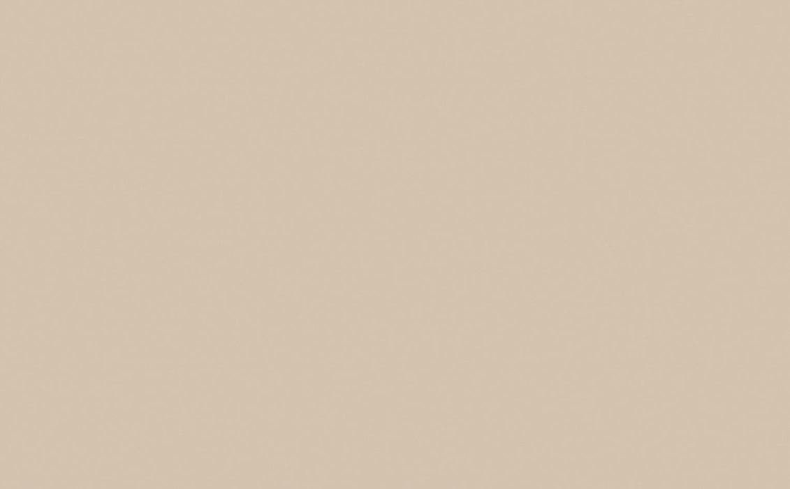 LITTLE GREENE Farbe - Mushroom 142-Farbe-Vintage Kontor-Absolute Matt Emulsion-1 l-Vintage Kontor