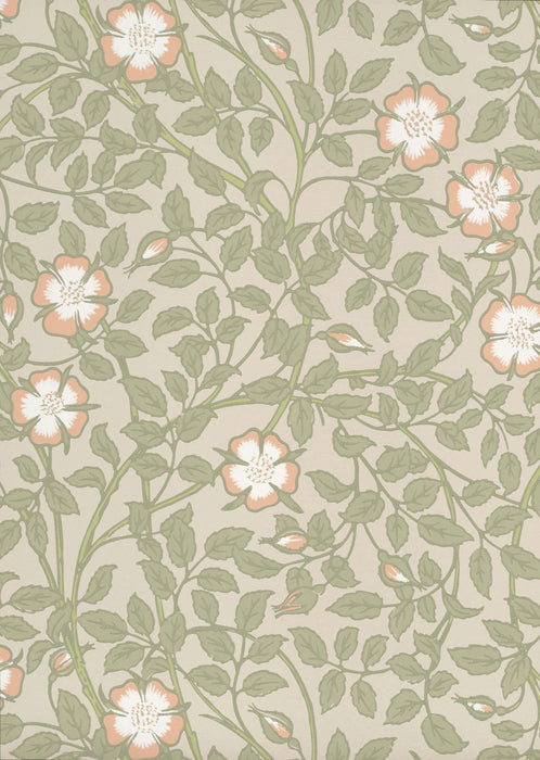 LITTLE GREENE Tapete - Briar Rose - Green Mist-Tapete-Vintage Kontor-Vintage Kontor